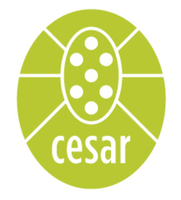 cesar Pty Ltd